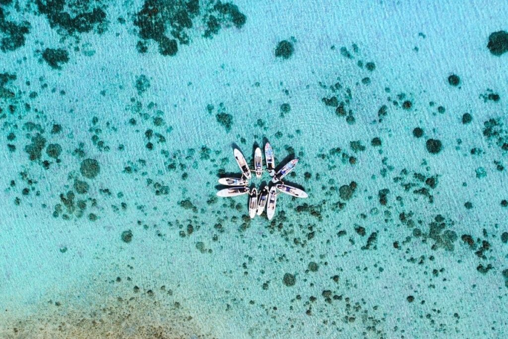 透明すぎる石垣島の海を真上からドローン空撮した、サップボードを丸く花のように並べて浮かべるツアー参加者たちのサークルフォト