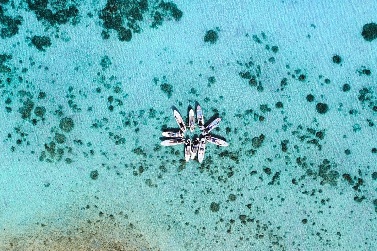 透明すぎる石垣島の海を真上からドローン空撮した、サップボードを丸く花のように並べて浮かべるツアー参加者たちのサークルフォト