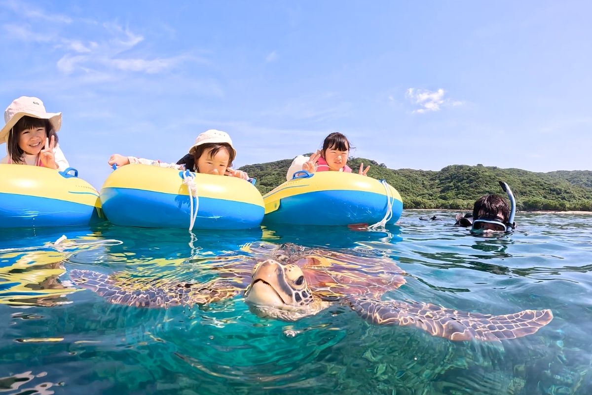 ぷかぷかと浮き輪チューブに乗る小さな子供たちの目の前で野生のウミガメがぷはっと息継ぎを見せてくれた瞬間の大興奮ショット