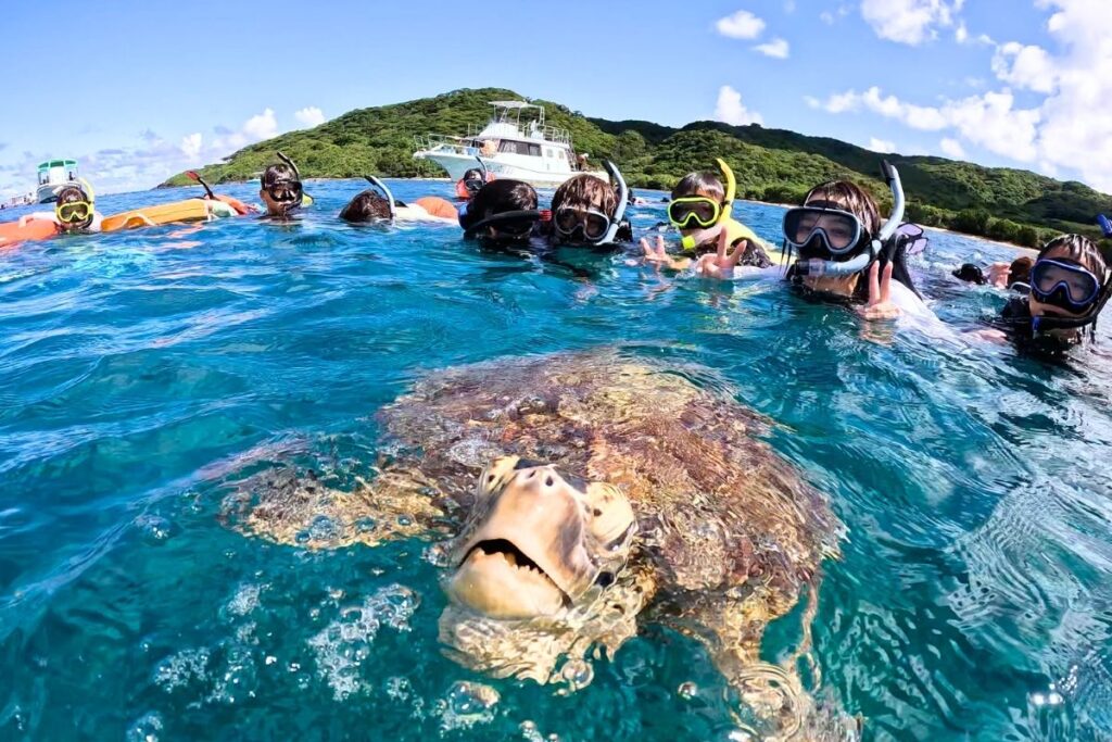 石垣島の透明な海面で息継ぎをするアオウミガメと、そのすぐ後ろで笑顔でピースサインをするシュノーケリングツアーの参加者たち。