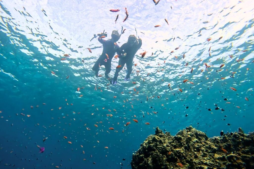 透明度抜群の石垣島の海で無数のカラフルな熱帯魚の群れに囲まれながら水中撮影を楽しむシュノーケラー